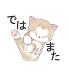 ずっと使える☆夏猫スタンプ（個別スタンプ：21）