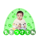 ひまわりんこスタンプ（個別スタンプ：3）