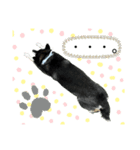 黒柴マメテツ2（個別スタンプ：2）