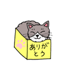 いろんな猫のかわいいスタンプ（個別スタンプ：14）