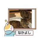 癒し系動物さんスタンプ（個別スタンプ：14）