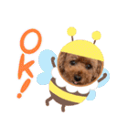 KIRA2023（個別スタンプ：2）