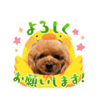 KIRA2023（個別スタンプ：4）