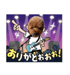 KIRA2023（個別スタンプ：8）