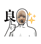 KIRA2023（個別スタンプ：11）