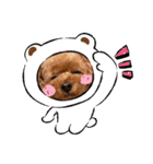 KIRA2023（個別スタンプ：17）