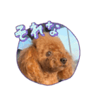 KIRA2023（個別スタンプ：21）