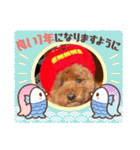 KIRA2023（個別スタンプ：30）