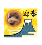 KIRA2023（個別スタンプ：31）