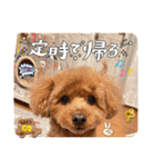 KIRA2023（個別スタンプ：37）