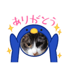 Mf.Pet（個別スタンプ：8）