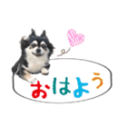れいちゃむ詰め合わせ☆（個別スタンプ：1）