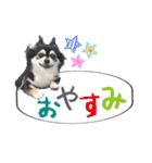 れいちゃむ詰め合わせ☆（個別スタンプ：2）