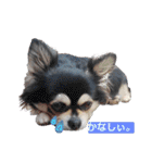 れいちゃむ詰め合わせ☆（個別スタンプ：3）