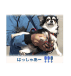 れいちゃむ詰め合わせ☆（個別スタンプ：4）