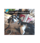 れいちゃむ詰め合わせ☆（個別スタンプ：11）