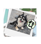 れいちゃむ詰め合わせ☆（個別スタンプ：12）