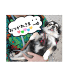 れいちゃむ詰め合わせ☆（個別スタンプ：14）