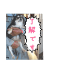 れいちゃむ詰め合わせ☆（個別スタンプ：16）