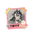れいちゃむ詰め合わせ☆（個別スタンプ：19）
