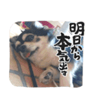 れいちゃむ詰め合わせ☆（個別スタンプ：22）