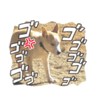 れいちゃむ詰め合わせ☆（個別スタンプ：26）