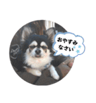 れいちゃむ詰め合わせ☆（個別スタンプ：30）