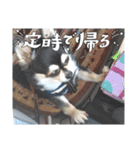 れいちゃむ詰め合わせ☆（個別スタンプ：31）