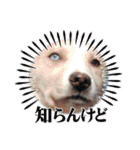 れいちゃむ詰め合わせ☆（個別スタンプ：32）