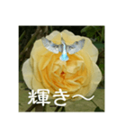 黄色い薔薇カワセミ（個別スタンプ：6）