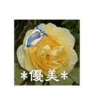 黄色い薔薇カワセミ（個別スタンプ：9）