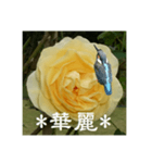 黄色い薔薇カワセミ（個別スタンプ：12）