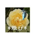 黄色い薔薇カワセミ（個別スタンプ：15）