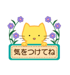 ねこくまスタンプ1（個別スタンプ：19）