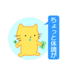 ねこくまスタンプ1（個別スタンプ：20）