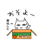 素直になれない不器用な猫様10【ヲタ活】（個別スタンプ：2）