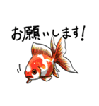 毎日使えるお魚スタンプ！（個別スタンプ：7）