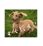 じゃっくとふぇる（個別スタンプ：6）
