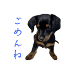 じゃっくとふぇる（個別スタンプ：11）