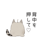 ふわふあキャット（個別スタンプ：6）