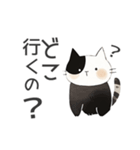 ふわふあキャット（個別スタンプ：11）