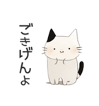 ふわふあキャット（個別スタンプ：18）