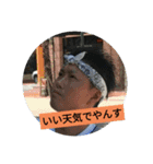 卍稲橋（個別スタンプ：15）