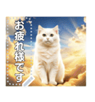 【猫】神々しいネコ（個別スタンプ：2）