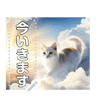 【猫】神々しいネコ（個別スタンプ：6）