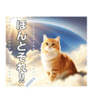 【猫】神々しいネコ（個別スタンプ：11）