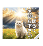 【猫】神々しいネコ（個別スタンプ：12）