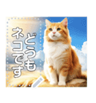 【猫】神々しいネコ（個別スタンプ：13）