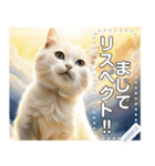 【猫】神々しいネコ（個別スタンプ：14）