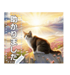 【猫】神々しいネコ（個別スタンプ：17）